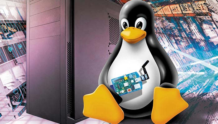 کاربرد‌های هاست لینوکس چیست؟