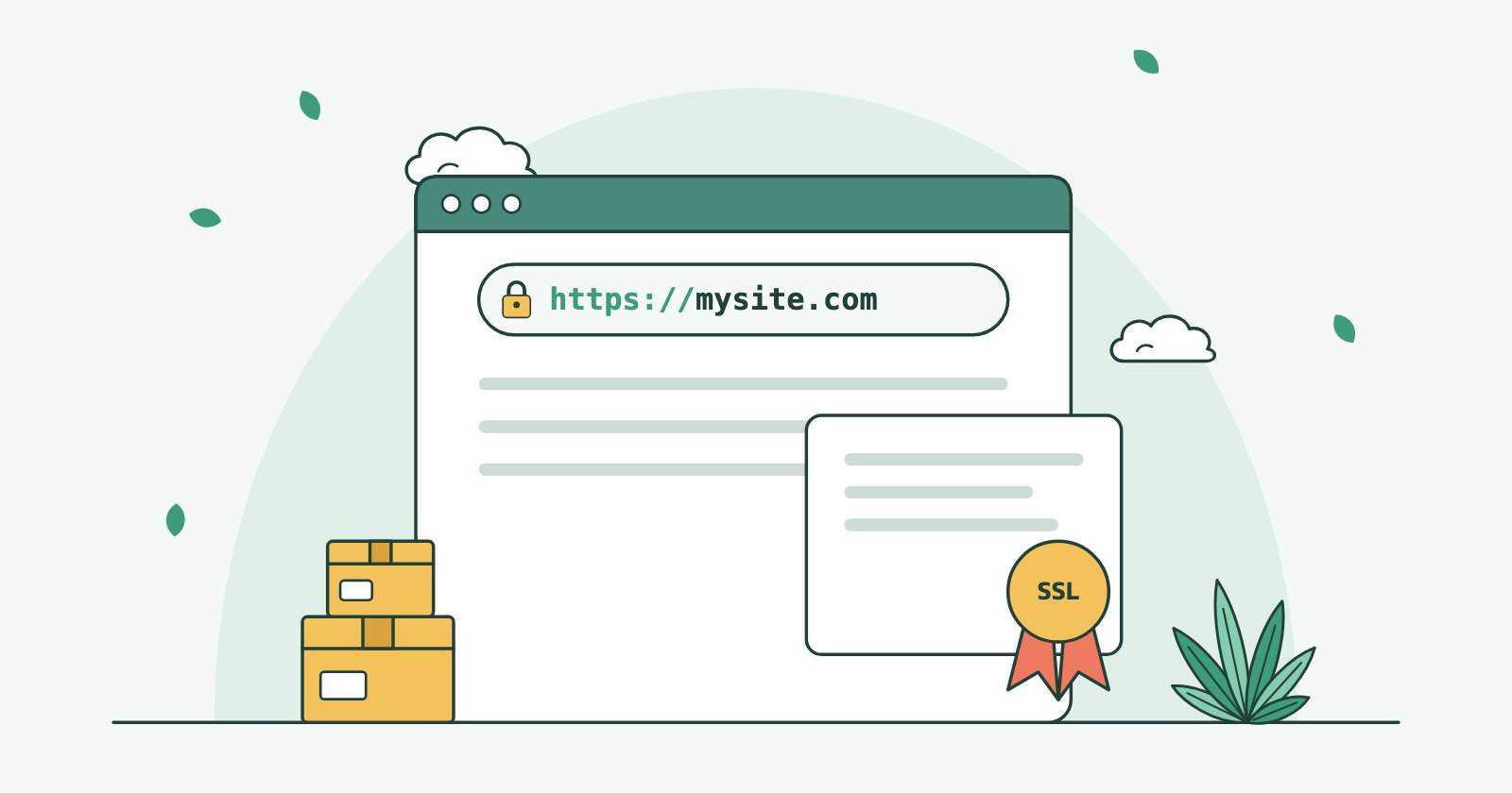 آموزش کامل فعالسازی SSL رایگان سی پنل