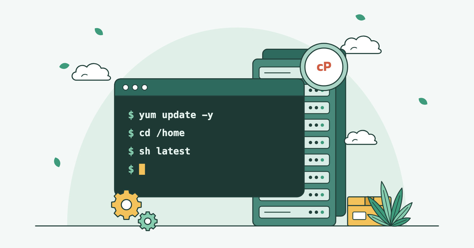 چگونه سی‌پنل را در سنتوس ۷ نصب کنیم؟ نصب cpanel در centOS 7
