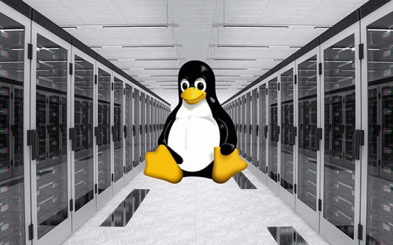 هاست لینوکس چیست؟